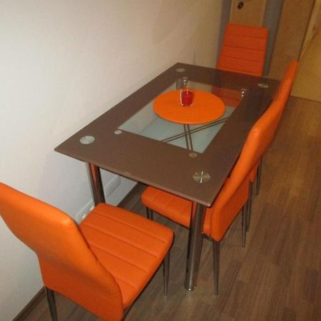 Apartman Ricky V Orlickych Horach Pustiny Exterior photo