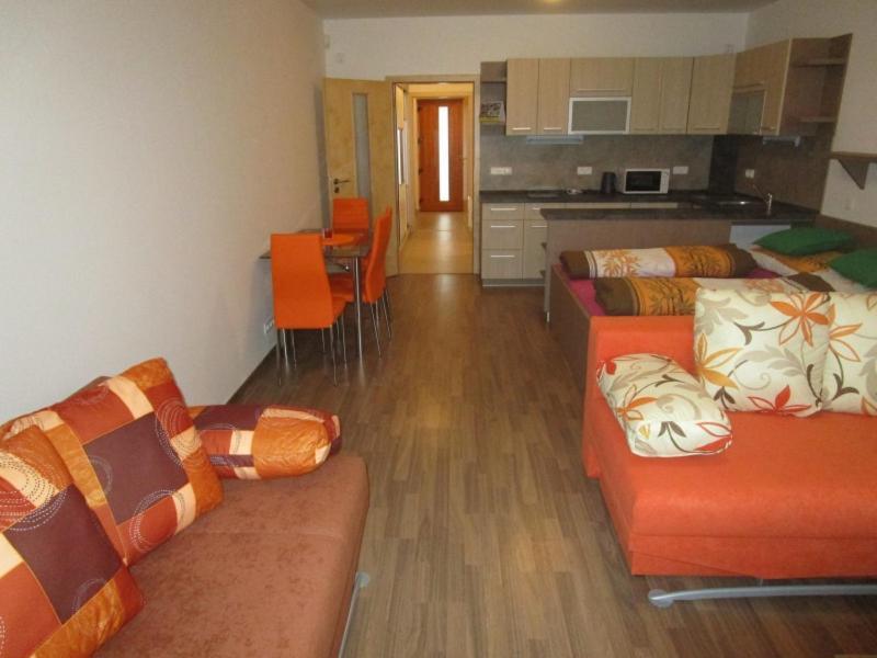 Apartman Ricky V Orlickych Horach Pustiny Exterior photo