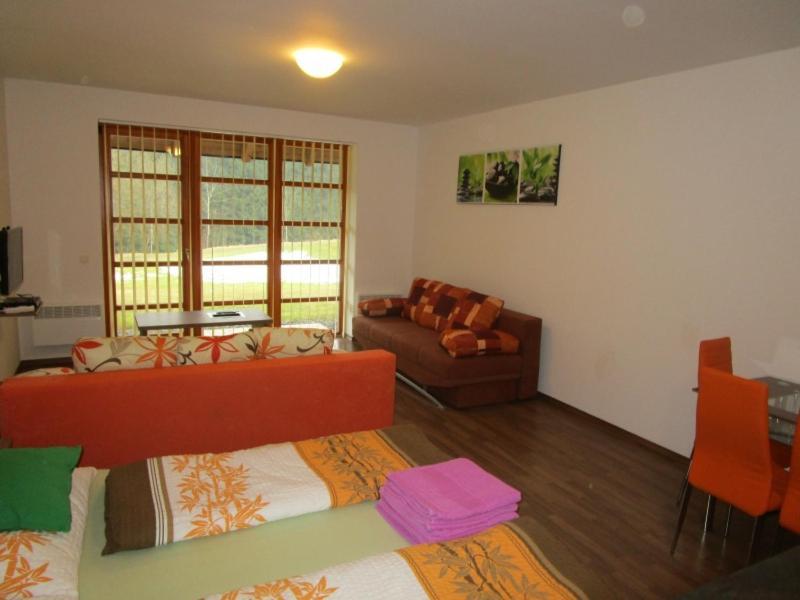 Apartman Ricky V Orlickych Horach Pustiny Exterior photo