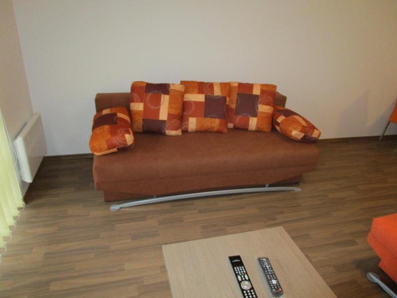 Apartman Ricky V Orlickych Horach Pustiny Exterior photo