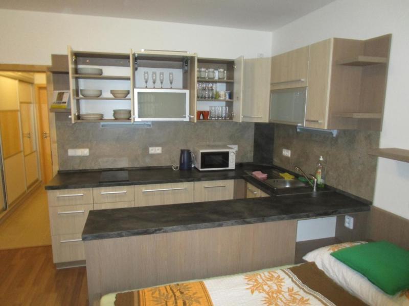 Apartman Ricky V Orlickych Horach Pustiny Exterior photo
