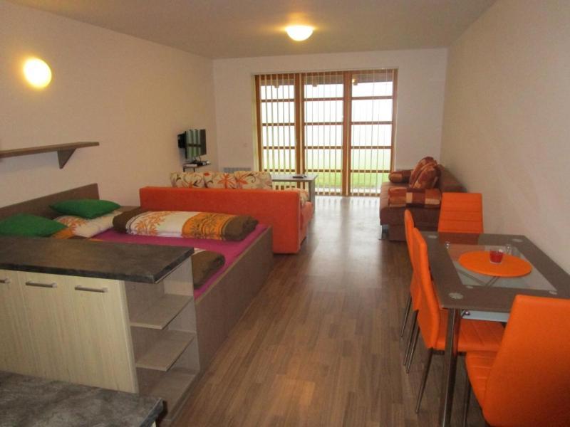 Apartman Ricky V Orlickych Horach Pustiny Exterior photo