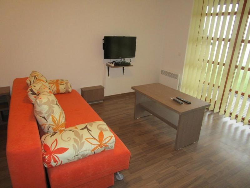 Apartman Ricky V Orlickych Horach Pustiny Exterior photo