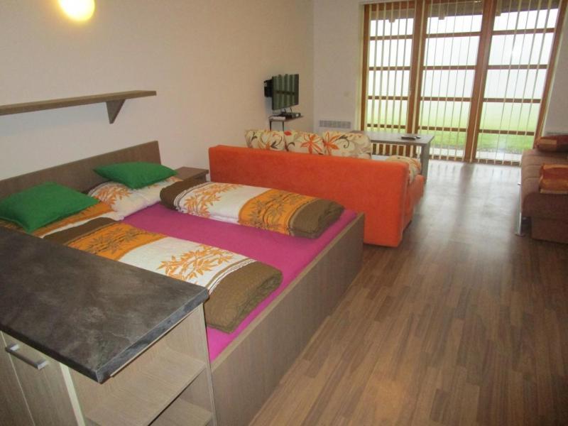 Apartman Ricky V Orlickych Horach Pustiny Exterior photo
