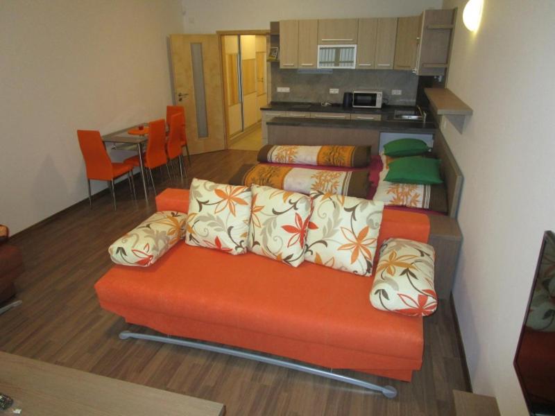 Apartman Ricky V Orlickych Horach Pustiny Exterior photo